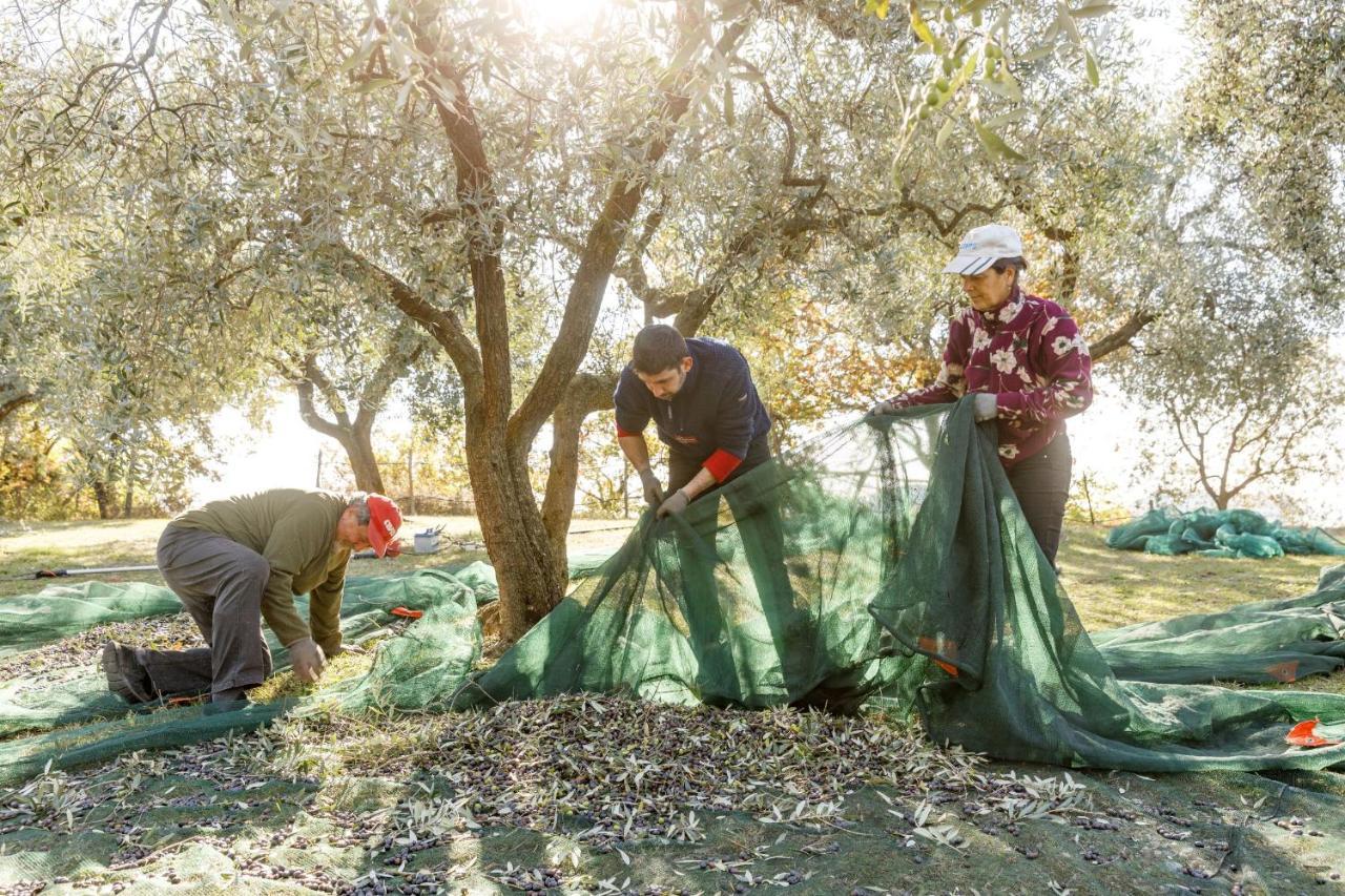 Agriturismo Agricamping Garda Natura Costermano Eksteriør bilde