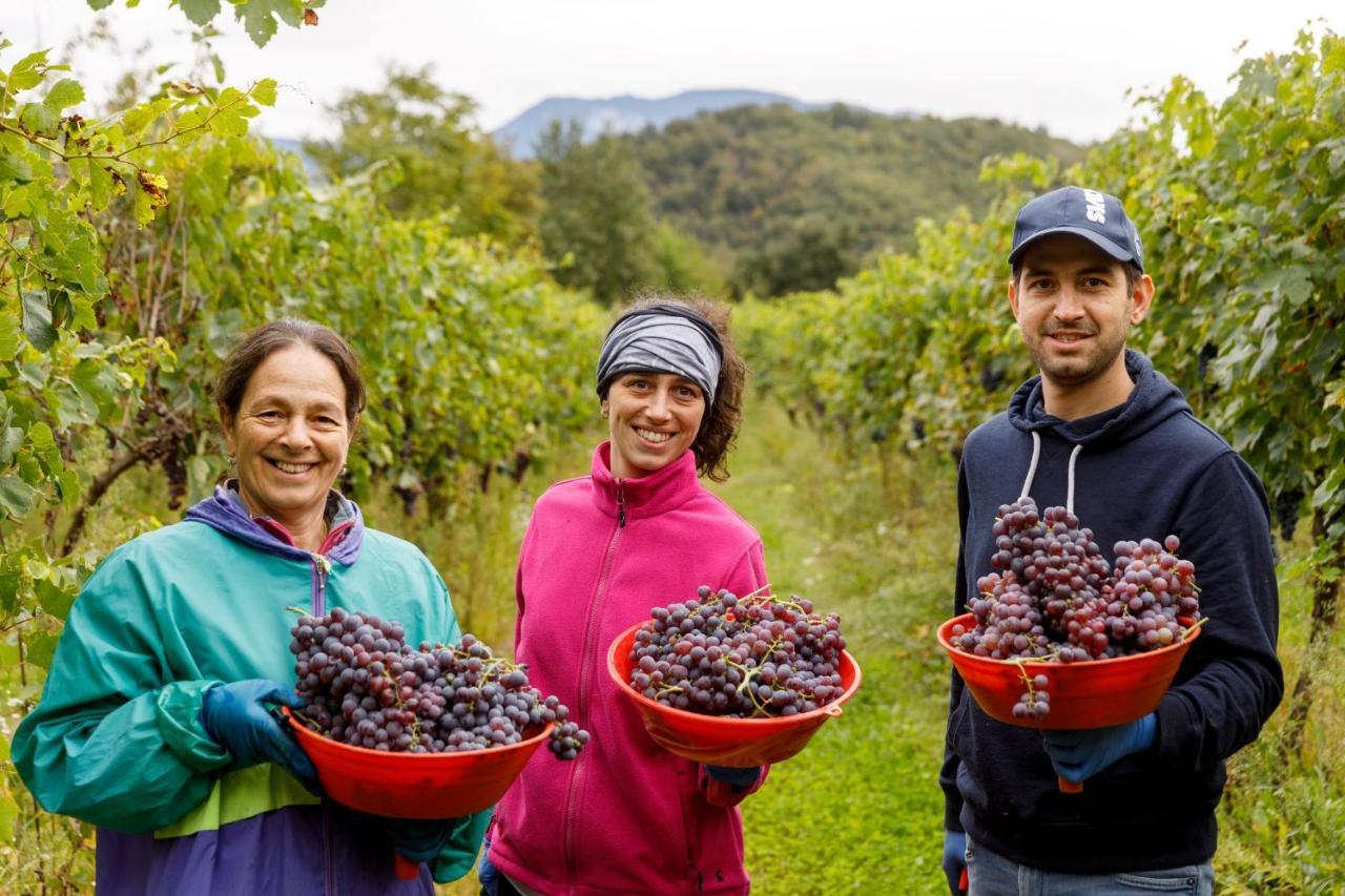 Agriturismo Agricamping Garda Natura Costermano Eksteriør bilde