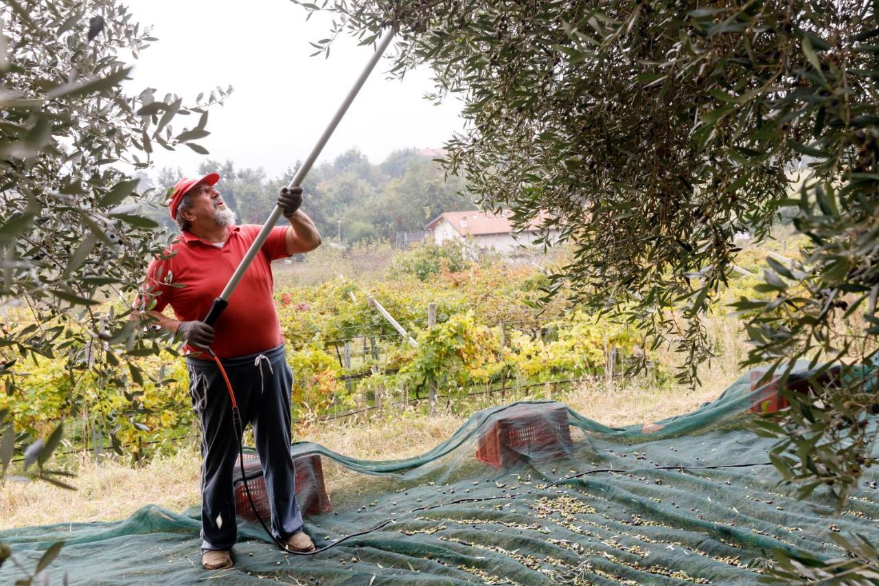 Agriturismo Agricamping Garda Natura Costermano Eksteriør bilde